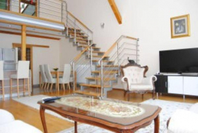 Spacious modern house in Sarajevo with parking.